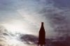 Filename=hoffmanbottle10.jpeg
Filesize=49KiB
Dimensions=640x424
Date added=Sep 05, 2026 hoffmanbottle10.jpeg