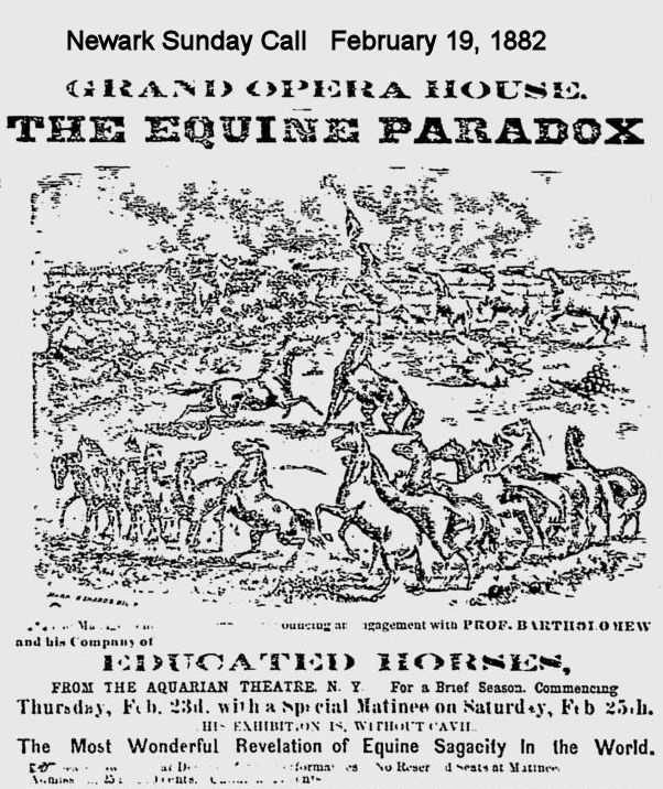 The Equine Paradox
February 19, 1882
